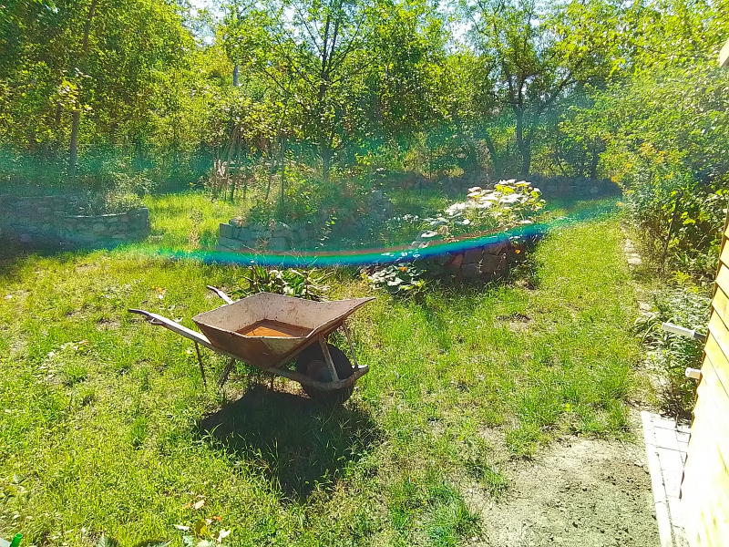20220901_123043.jpg